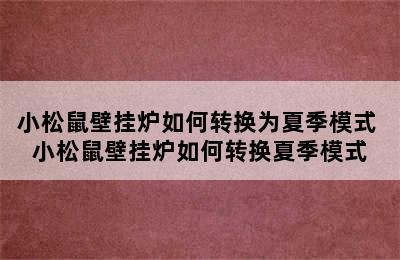 小松鼠壁挂炉如何转换为夏季模式 小松鼠壁挂炉如何转换夏季模式